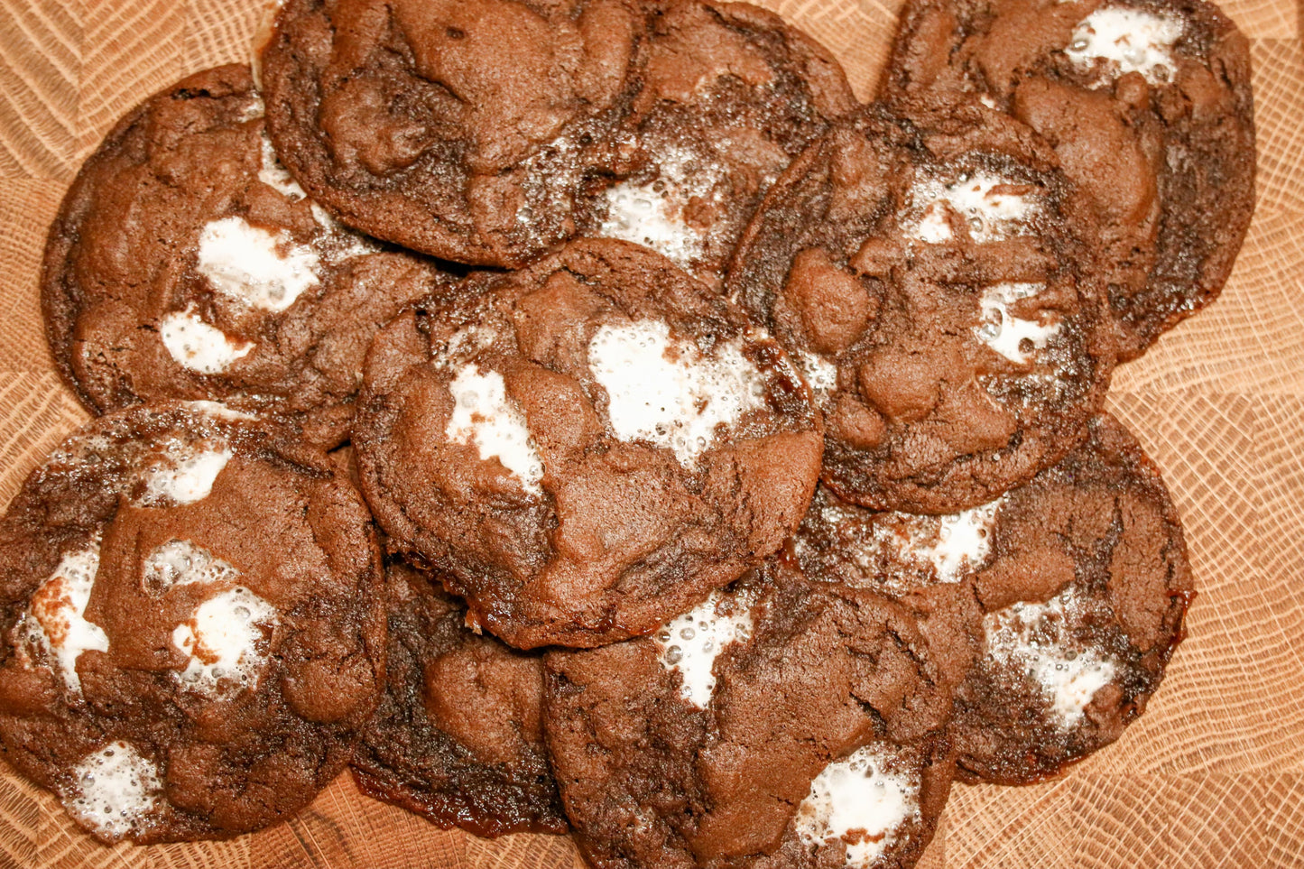 Hot Chocolate Cookie